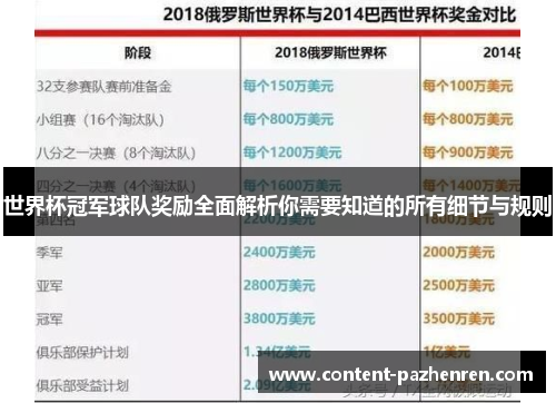 世界杯冠军球队奖励全面解析你需要知道的所有细节与规则