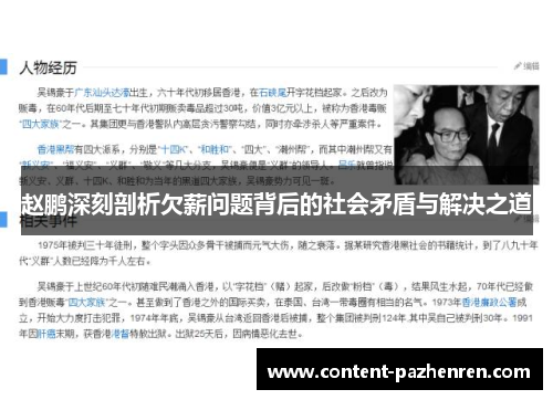 赵鹏深刻剖析欠薪问题背后的社会矛盾与解决之道